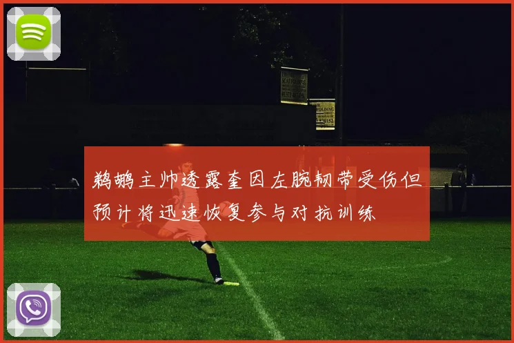 鹈鹕主帅透露奎因左腕韧带受伤但预计将迅速恢复参与对抗训练
