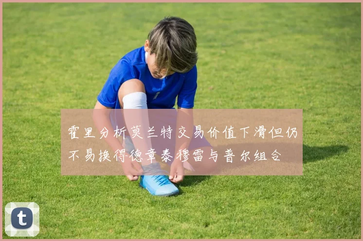 霍里分析莫兰特交易价值下滑但仍不易换得德章泰穆雷与普尔组合