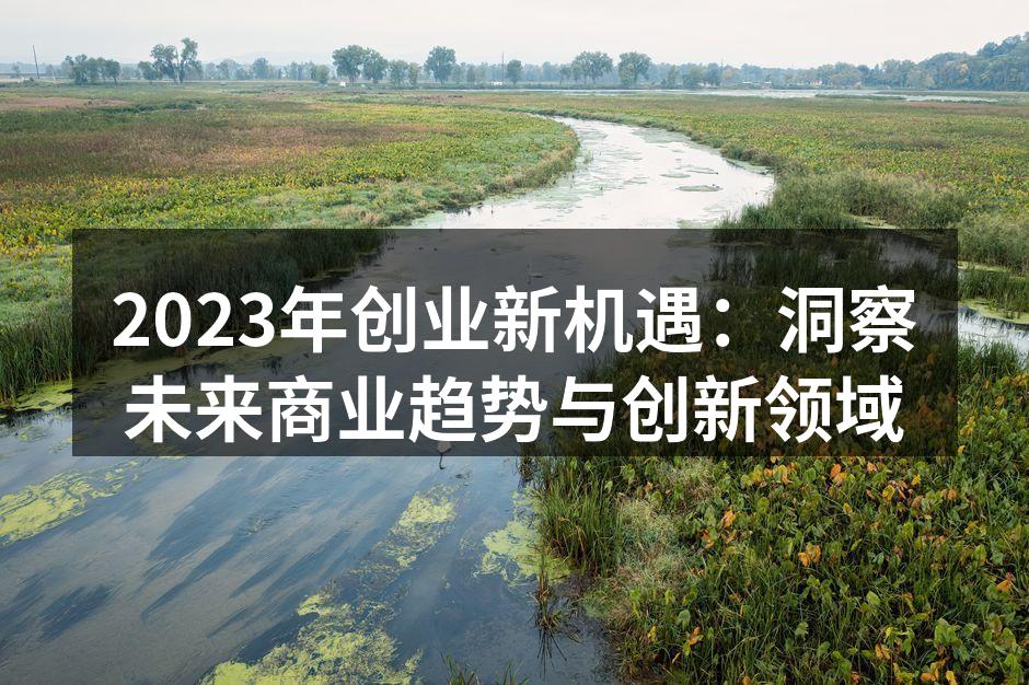 创业者在数字化转型中探索新机遇