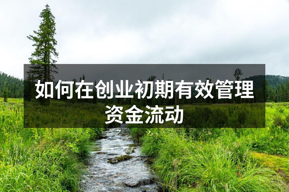 创业初期资金管理策略